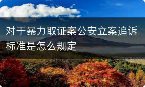 对于暴力取证案公安立案追诉标准是怎么规定
