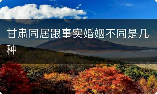 甘肃同居跟事实婚姻不同是几种