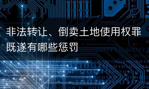 非法转让、倒卖土地使用权罪既遂有哪些惩罚