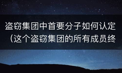 盗窃集团中首要分子如何认定（这个盗窃集团的所有成员终于被公安人员一网打尽）