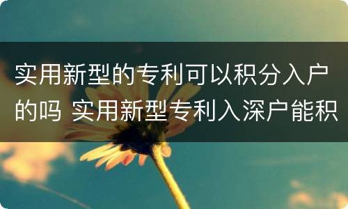 实用新型的专利可以积分入户的吗 实用新型专利入深户能积分吗