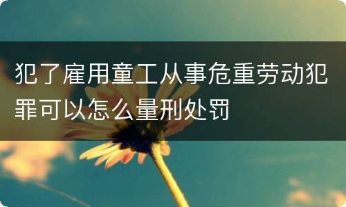 犯了雇用童工从事危重劳动犯罪可以怎么量刑处罚
