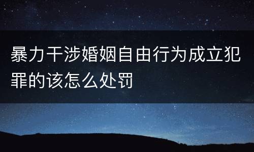 暴力干涉婚姻自由行为成立犯罪的该怎么处罚
