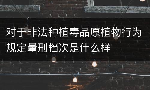 对于非法种植毒品原植物行为规定量刑档次是什么样