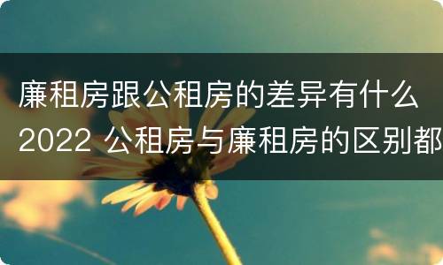 廉租房跟公租房的差异有什么2022 公租房与廉租房的区别都在此,别再搞错了!