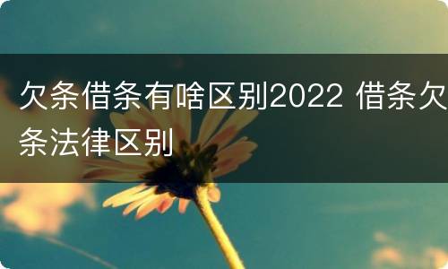 欠条借条有啥区别2022 借条欠条法律区别
