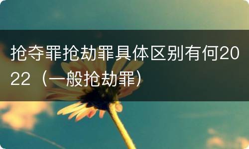 抢夺罪抢劫罪具体区别有何2022（一般抢劫罪）