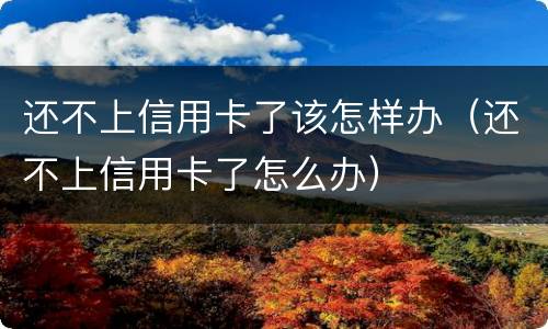 还不上信用卡了该怎样办（还不上信用卡了怎么办）