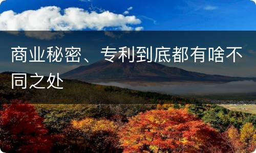 商业秘密、专利到底都有啥不同之处