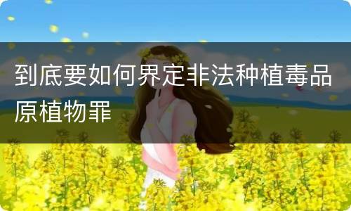 到底要如何界定非法种植毒品原植物罪