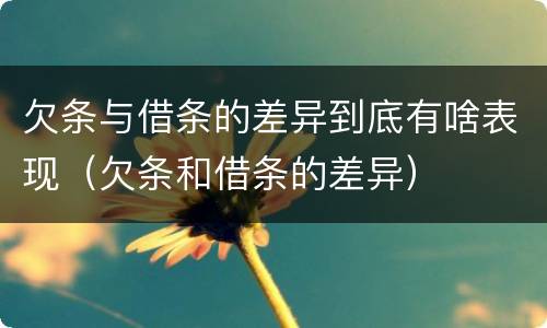 欠条与借条的差异到底有啥表现（欠条和借条的差异）