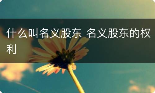 什么叫名义股东 名义股东的权利