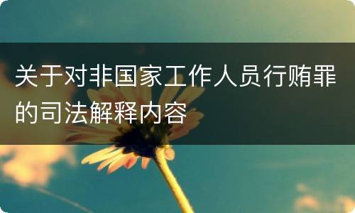 关于对非国家工作人员行贿罪的司法解释内容