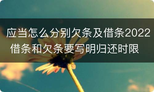 应当怎么分别欠条及借条2022 借条和欠条要写明归还时限