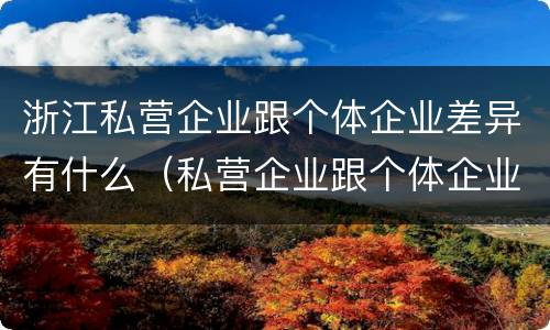 浙江私营企业跟个体企业差异有什么（私营企业跟个体企业的区别）