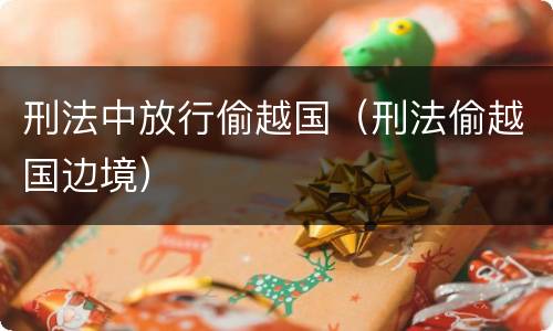 刑法中放行偷越国（刑法偷越国边境）
