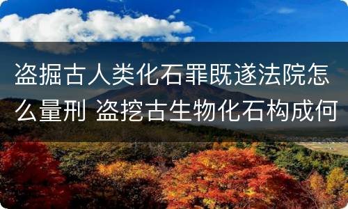盗掘古人类化石罪既遂法院怎么量刑 盗挖古生物化石构成何罪