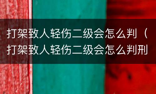 打架致人轻伤二级会怎么判（打架致人轻伤二级会怎么判刑的钱）