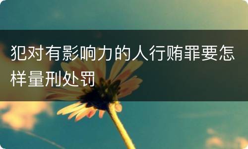 犯对有影响力的人行贿罪要怎样量刑处罚