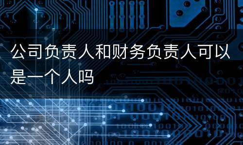 公司负责人和财务负责人可以是一个人吗