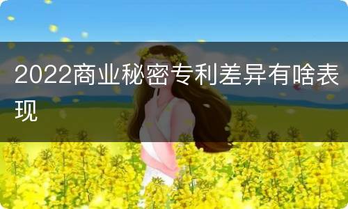 2022商业秘密专利差异有啥表现