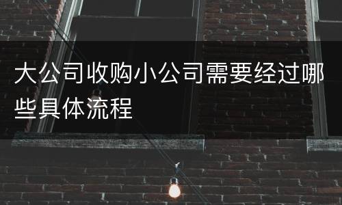 大公司收购小公司需要经过哪些具体流程