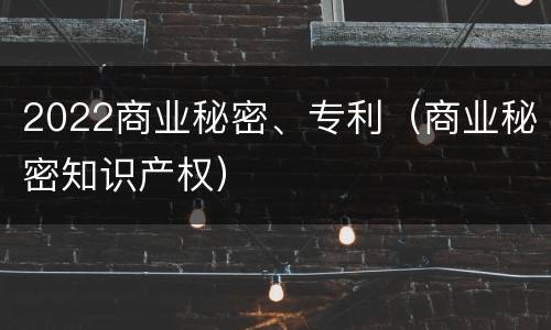 2022商业秘密、专利（商业秘密知识产权）