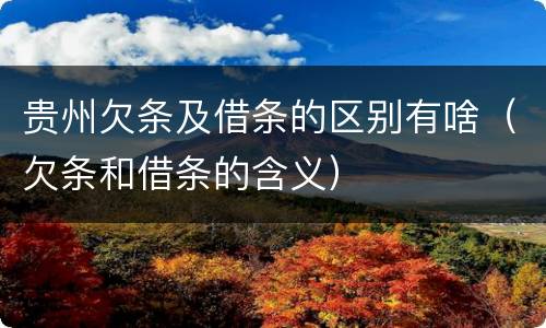 贵州欠条及借条的区别有啥（欠条和借条的含义）