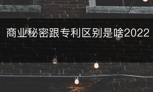 商业秘密跟专利区别是啥2022