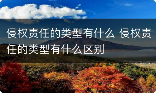 侵权责任的类型有什么 侵权责任的类型有什么区别