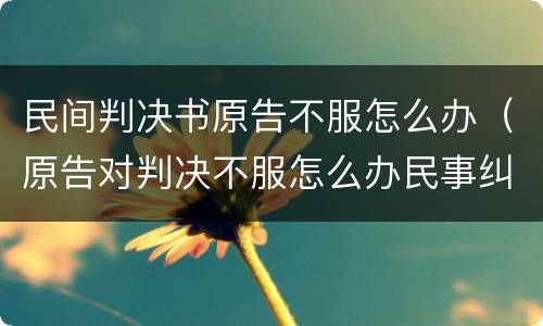 民间判决书原告不服怎么办（原告对判决不服怎么办民事纠纷）