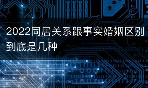 2022同居关系跟事实婚姻区别到底是几种