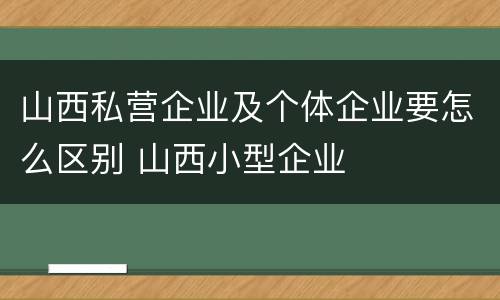 山西私营企业及个体企业要怎么区别 山西小型企业
