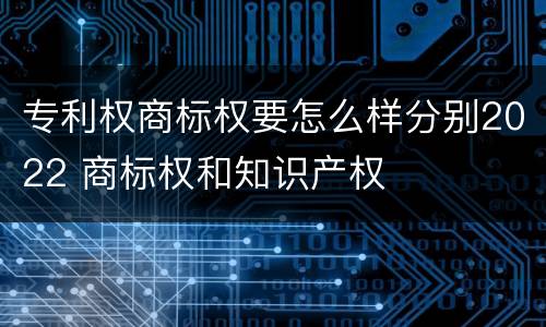 专利权商标权要怎么样分别2022 商标权和知识产权
