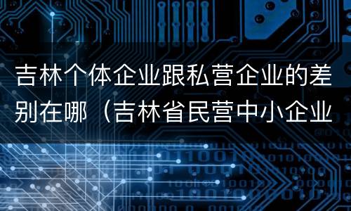 吉林个体企业跟私营企业的差别在哪（吉林省民营中小企业）