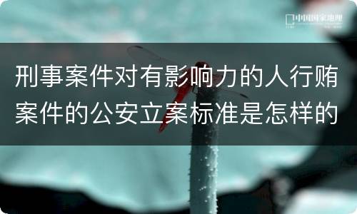 刑事案件对有影响力的人行贿案件的公安立案标准是怎样的
