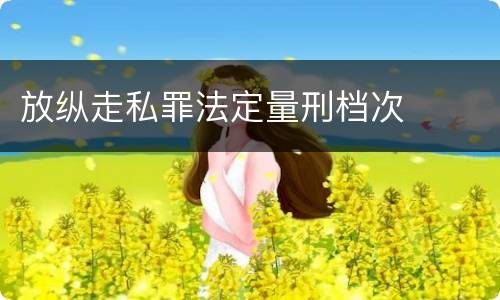 放纵走私罪法定量刑档次