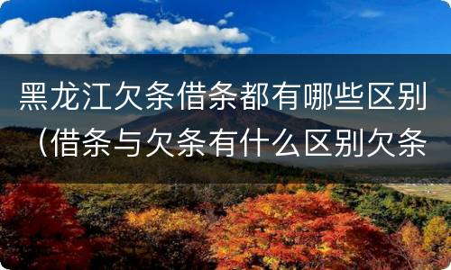 黑龙江欠条借条都有哪些区别（借条与欠条有什么区别欠条怎么写）