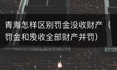 青海怎样区别罚金没收财产（罚金和没收全部财产并罚）