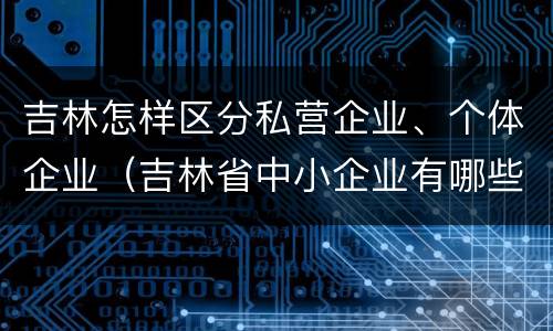 吉林怎样区分私营企业、个体企业（吉林省中小企业有哪些）