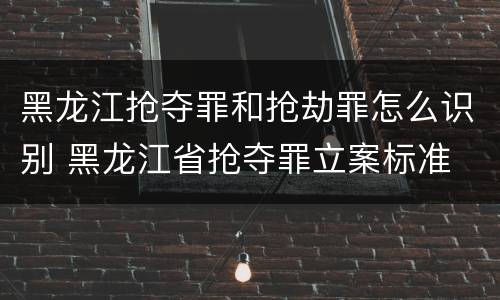 黑龙江抢夺罪和抢劫罪怎么识别 黑龙江省抢夺罪立案标准