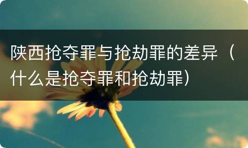 陕西抢夺罪与抢劫罪的差异（什么是抢夺罪和抢劫罪）