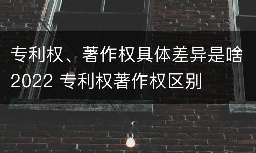专利权、著作权具体差异是啥2022 专利权著作权区别