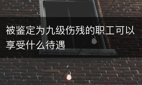 被鉴定为九级伤残的职工可以享受什么待遇