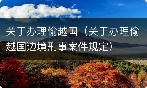 关于办理偷越国（关于办理偷越国边境刑事案件规定）