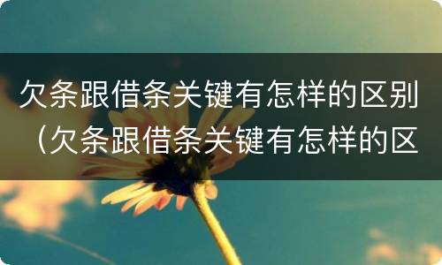 欠条跟借条关键有怎样的区别（欠条跟借条关键有怎样的区别呢）