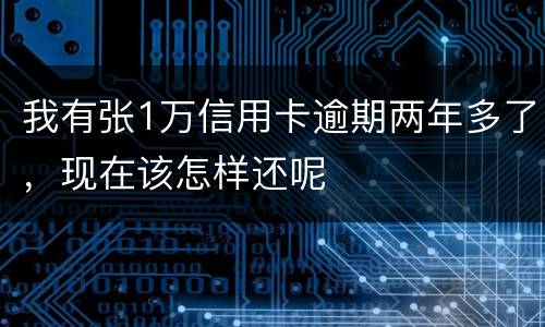 我有张1万信用卡逾期两年多了，现在该怎样还呢
