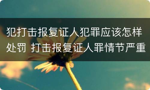 犯打击报复证人犯罪应该怎样处罚 打击报复证人罪情节严重
