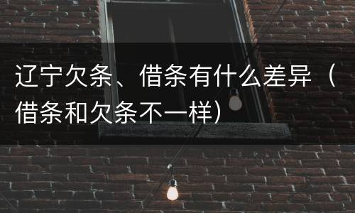 辽宁欠条、借条有什么差异（借条和欠条不一样）