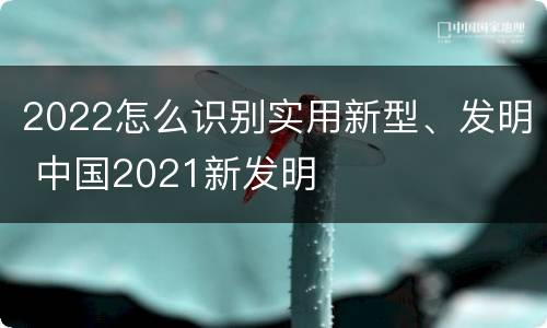 2022怎么识别实用新型、发明 中国2021新发明